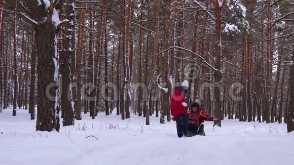 快乐的孩子们把爸爸卷在雪碟上在松林公园的雪冬路上奔跑开怀大笑孩子玩雪橇视频的预览图