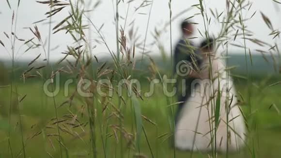 一个女孩穿着漂亮的白色连衣裙男人穿着西装在草地上跳舞的剪影一对恩爱夫妻的团队合作视频的预览图