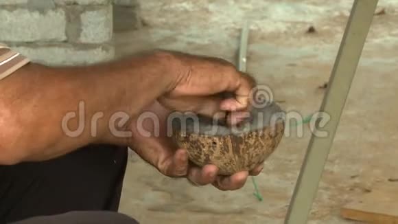 把土和植物放进椰子壳里视频的预览图
