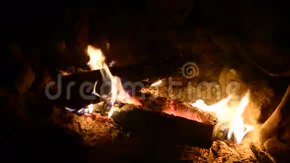 篝火晚会燃烧的木头视频的预览图