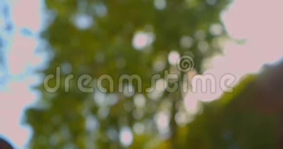 在温暖的夏天白天美丽的绿树自然模糊的拍摄视频的预览图