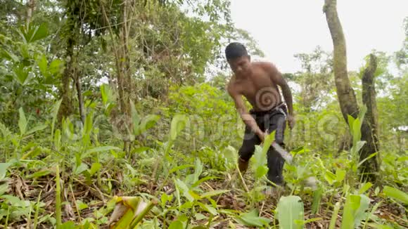 土著人在亚马逊丛林中除草视频的预览图