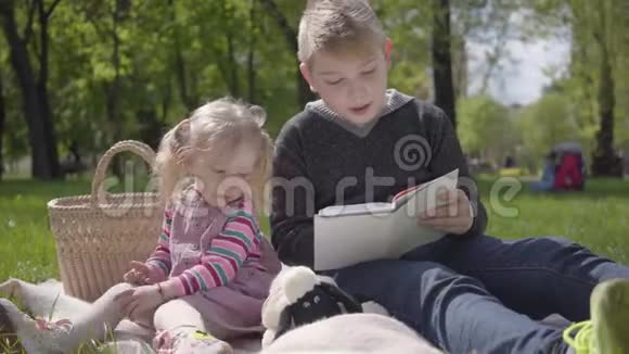 年轻的金发男孩坐在公园的毯子上给她穿着粉红色裙子的妹妹读这本书坐在附近这就是视频的预览图
