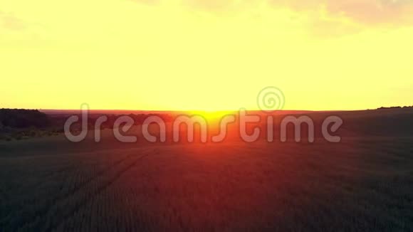 黎明太阳的全景视频的预览图
