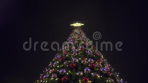 有圣诞树的圣诞背景夜城街道上的一棵巨大的圣诞树视频的预览图