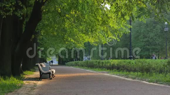 傍晚的夏季公园板凳土路绿树一束光线视频的预览图