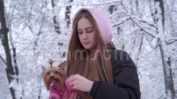 肖像漂亮的年轻女孩长发披着兜帽头上戴着一只约克郡猎犬穿着羊毛衫视频的预览图