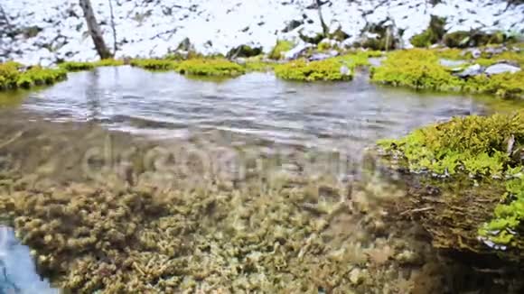 特写镜头冬天的一个小山塘有清澈的水四周长满了藓和地衣高矿泉水视频的预览图