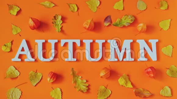 秋天的作文字秋从白色的字母和闪烁明亮的秋天留下标本室在橙色的纸背景自负视频的预览图
