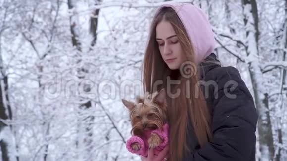 肖像可爱的年轻女孩一头长发头上戴着兜帽手上拿着一只穿着羊毛衫的约克郡猎犬视频的预览图