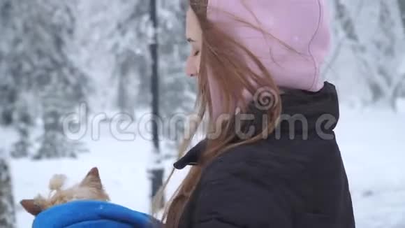 描绘了一个年轻漂亮的女孩长着长发手里拿着一只约克郡猎犬在冬天用蓝色毯子裹着视频的预览图