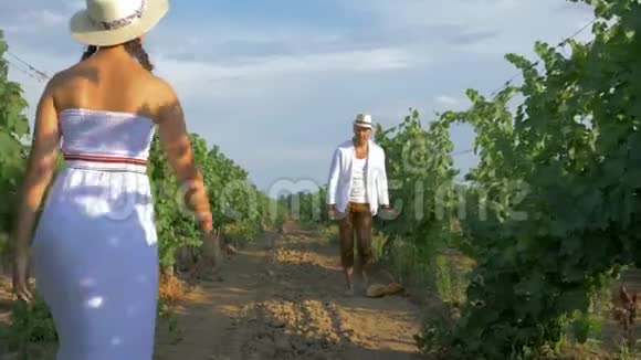 乡村浪漫葡萄酒种植者围着戴着草帽和白裙的农村妇女在阳光明媚的种植园上摘葡萄视频的预览图