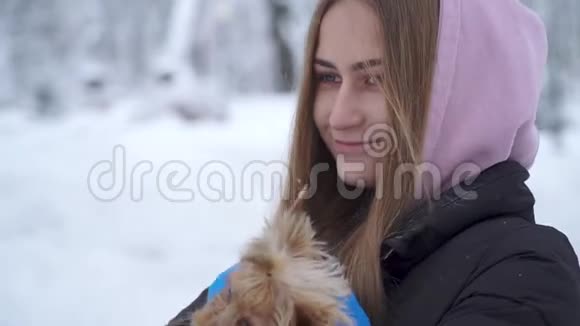 女孩拥抱被毯子覆盖在户外的小狗的肖像约克郡猎犬很冷慢动作视频的预览图
