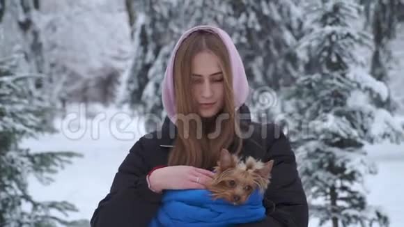 一个年轻漂亮的女孩长发披着一个头罩头罩上裹着蓝色毯子的约克郡猎犬视频的预览图