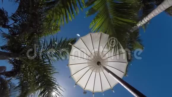 在炎热的夏天太阳伞和棕榈树作为遮阳物视频的预览图