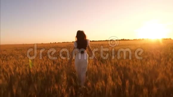 快乐的女孩跑过黄麦田长发女孩在美丽的夕阳下穿过田野慢慢视频的预览图