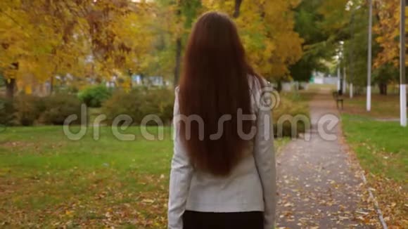 女律师穿着裙子和夹克手里拿着黑色公文包沿着人行道回家穿过秋天的公园视频的预览图