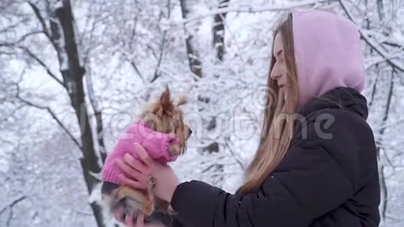 肖像可爱的小女孩长发亲吻一只穿着羊毛毛衣的约克郡猎犬双手抱着狗视频的预览图