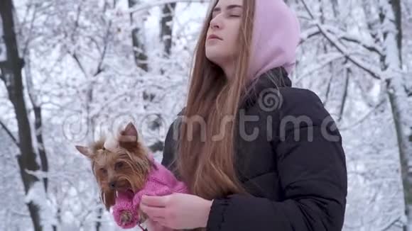 一个年轻漂亮的女孩长着一头长发手里拿着一只约克郡猎犬穿着羊毛衫手里拿着一个冬天覆盖着雪视频的预览图
