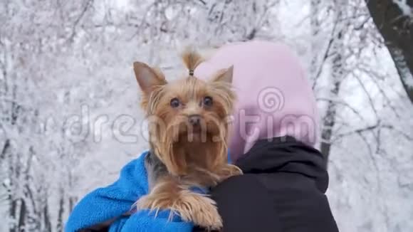 女人背对着镜头站着抱着裹着毛巾的约克郡小猎犬少年和狗在散步视频的预览图