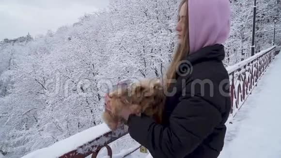 一个可爱的小女孩抱着一只约克郡的猎犬站在桥上在一个冬天白雪覆盖的树木背景下视频的预览图