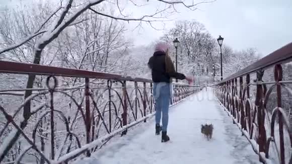 女人和小狗在桥上散步一个冬天白雪覆盖的公园里戴着皮带的约克郡小猎犬在主人身边奔跑视频的预览图