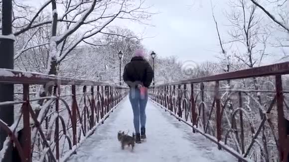 一个女人和约克郡的小猎犬在户外休息在冬天的雪中约克和主人在桥上系着皮带奔跑视频的预览图