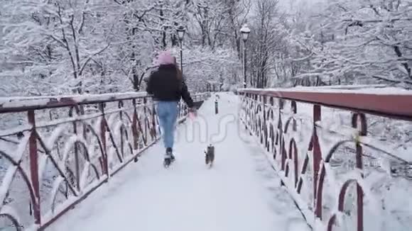 有趣的约克在桥上和主人绑在一起约克郡的小猎犬和女孩一起奔跑冬天白雪覆盖视频的预览图