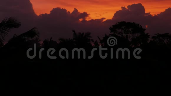 巴厘岛热带雨林的日落景色视频的预览图
