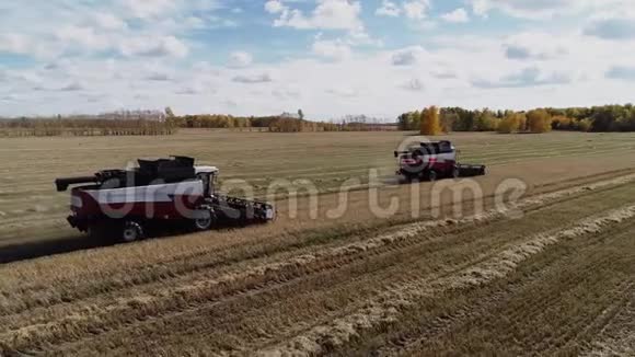 收割机结合在工业秋季农场黑麦场工作视频的预览图