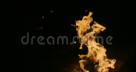 小男孩在火上烤棉花糖视频的预览图