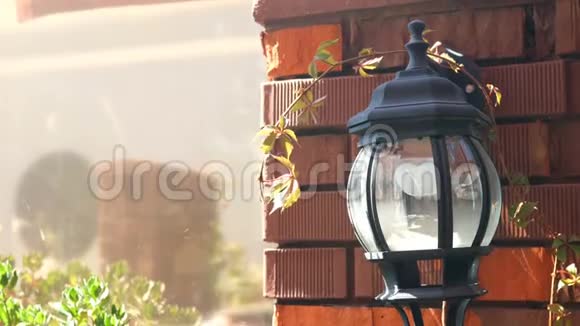 城市照明设备装饰性的电灯在街上的砖墙上视频的预览图