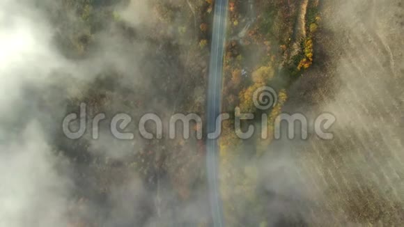 汽车沿着乡村道路行驶穿过秋天的森林从上往下看混合林地的秋色医生视频的预览图