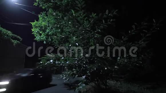 低交通的道路蟋蟀晚上唱歌含原创音频视频的预览图