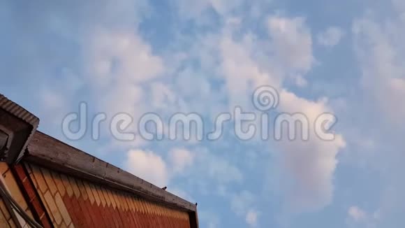 蓝天白云屋顶上有三只麻雀俯视视频的预览图