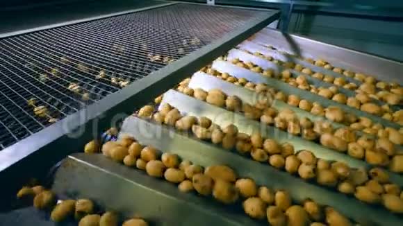 金属机制运输和切割土豆视频的预览图