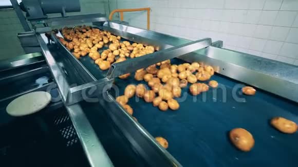 工业设备正在搬迁湿薯块视频的预览图