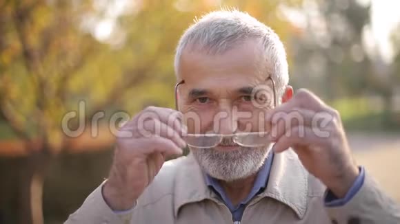 特写英俊的胡子老人戴上眼镜公园里灰发老人视频的预览图