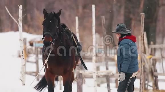 冬天的时候一个即将上马的女人视频的预览图