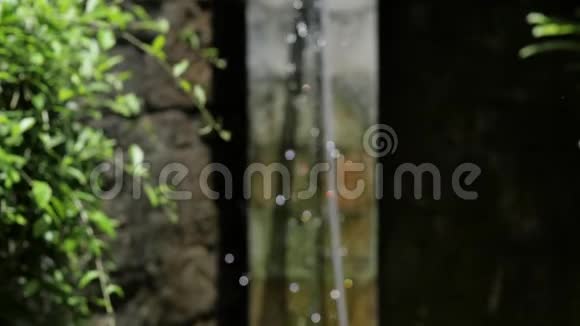 一个清爽的巴厘岛风格的户外淋浴在一个郁郁葱葱的热带花园环境视频的预览图