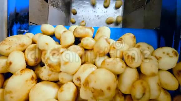 工业运输公司正在向下迁移土豆视频的预览图