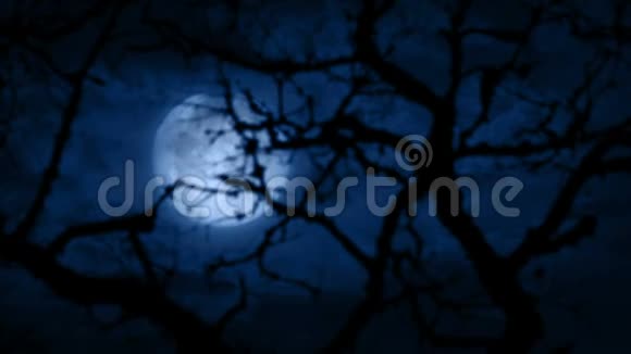 月亮在被磨碎的树枝后面视频的预览图