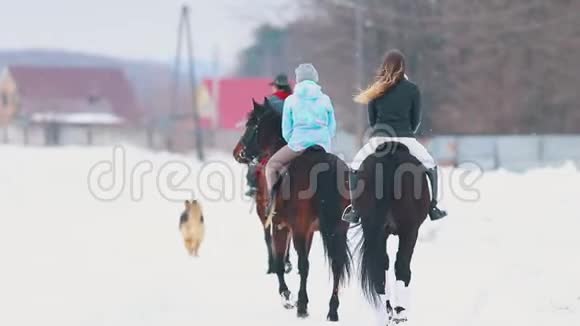 一群骑马的人在一个村子里一只狗在他们身边跑视频的预览图