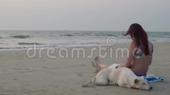 带狗的女孩在海滩上画画止痛药视频的预览图