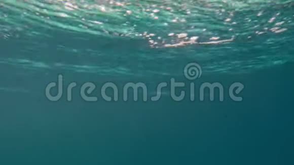 太阳光线穿过蓝色清澈的海水在水中被击中视频的预览图