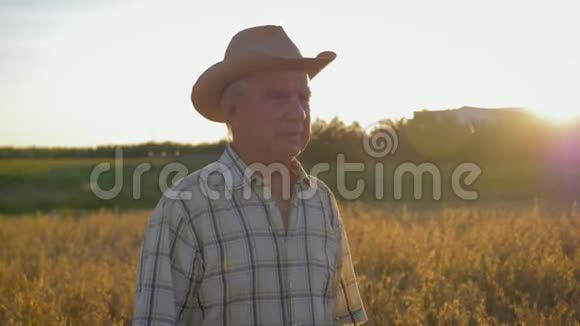 日落时分戴着牛仔帽的老白种人农民在麦田里散步视频的预览图