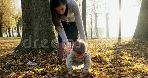小女孩在新鲜空气中和公园里的黄秋叶嬉戏视频的预览图