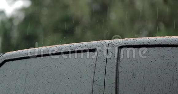 车顶上的雨视频的预览图