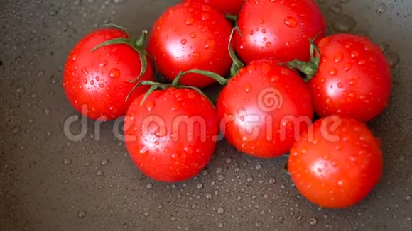 有水滴的红西红柿视频的预览图
