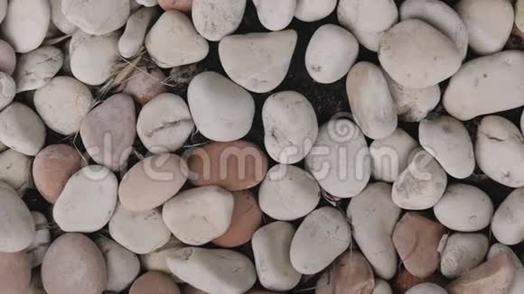 海白石躺在地上海滩上光滑的白色石头的纹理视频的预览图